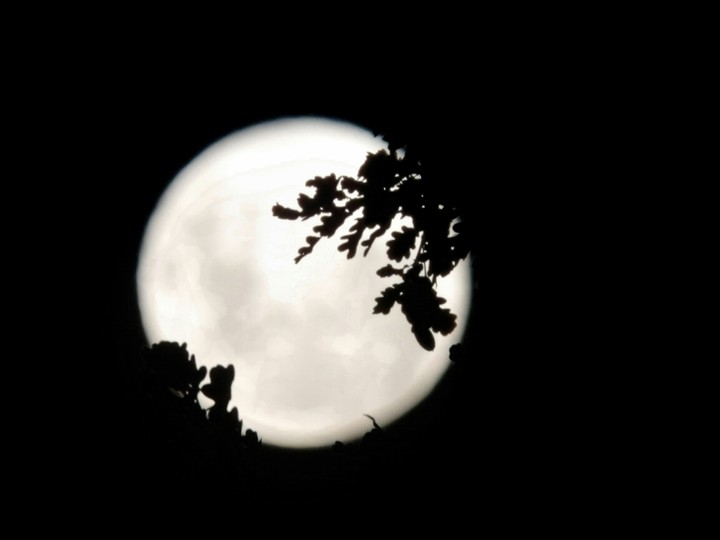 moon