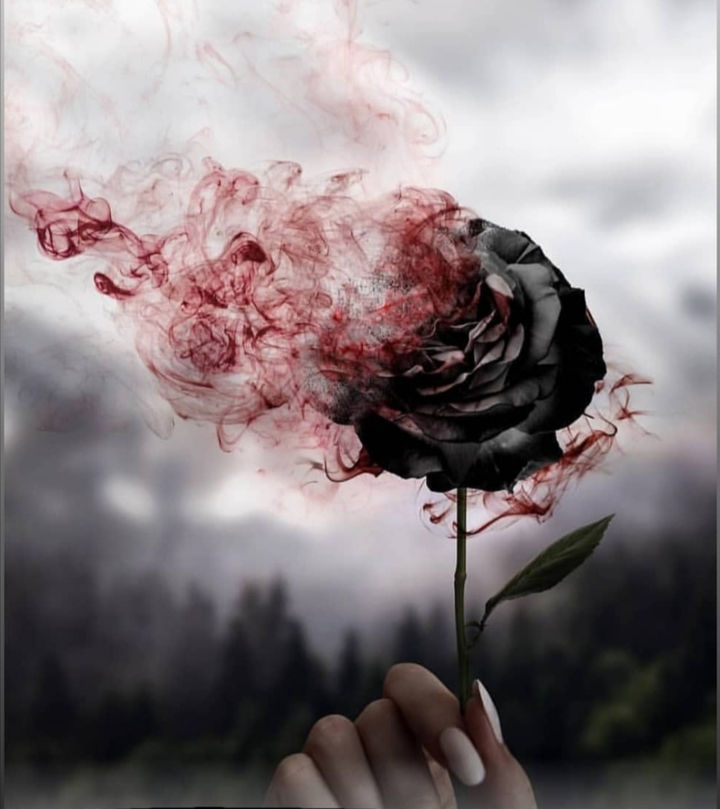 rose