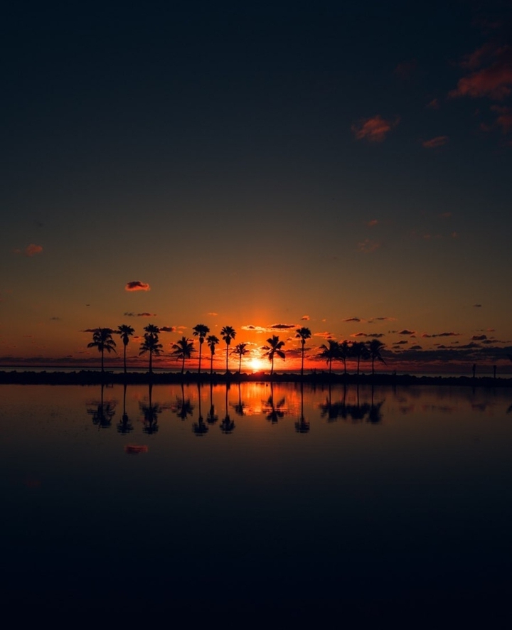evening, sunset,palm trees...