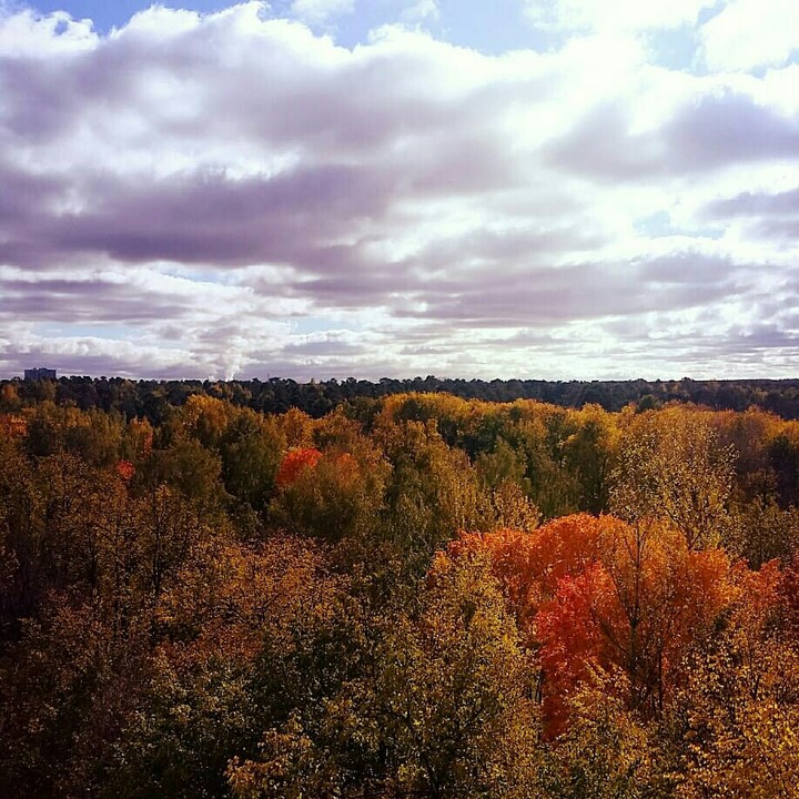 Mellow autumn