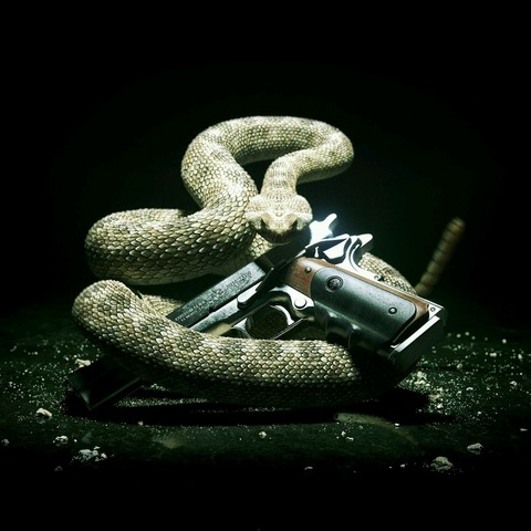witch do you chose the gun or viper