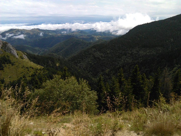High up, above the clouds