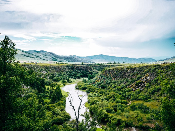 Mongolian nature
