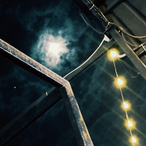 moony nights be like