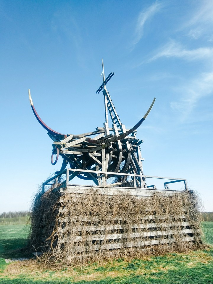Gold Plated Bull, Vasily Shchetinin, Archstoyanie 2009