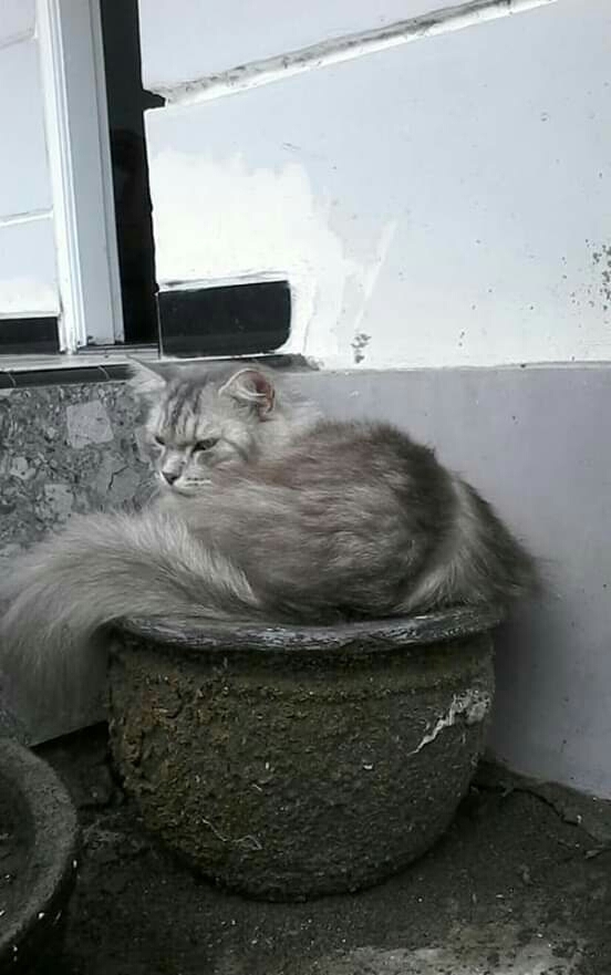 teby lagi santai
