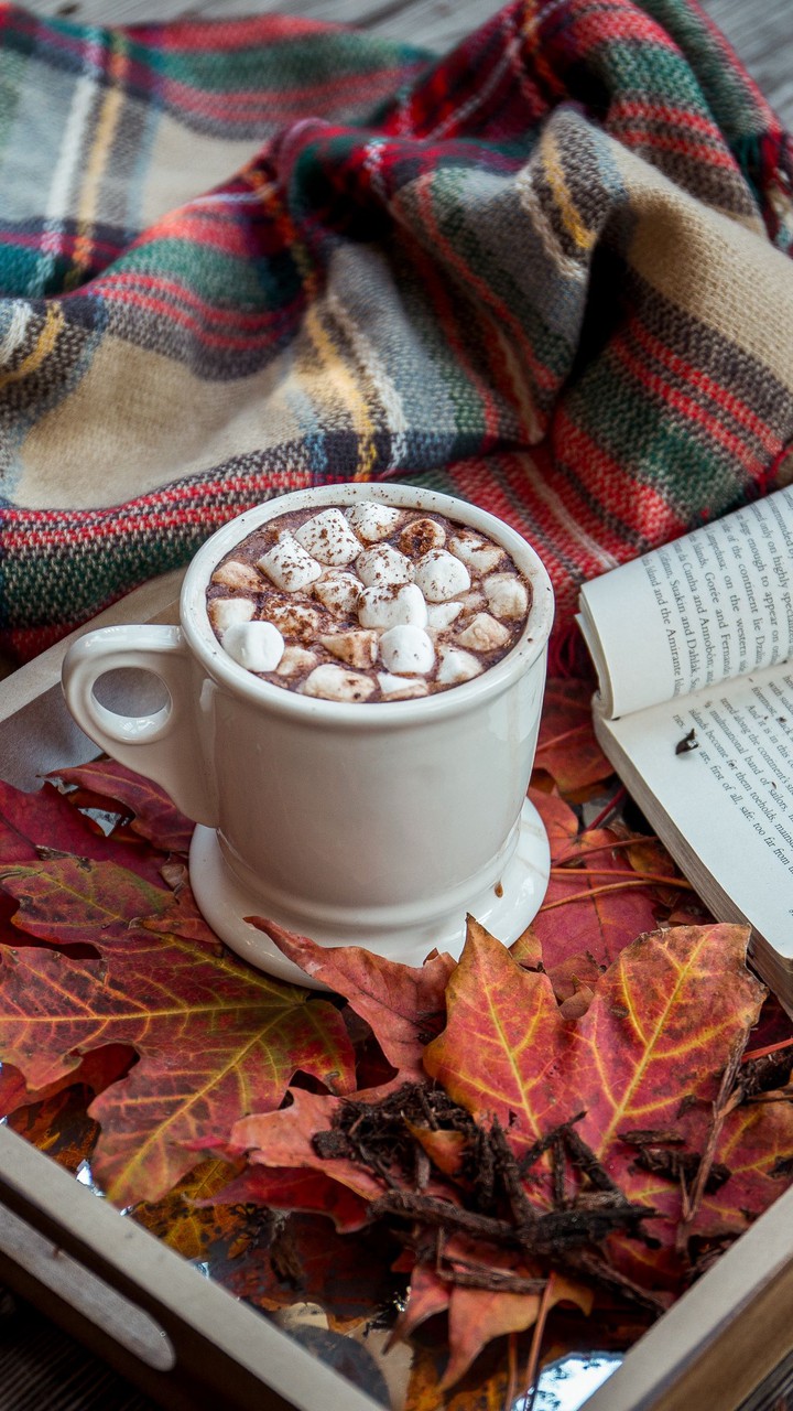 HOT CHOCOLATE AND MARSHMALLOW