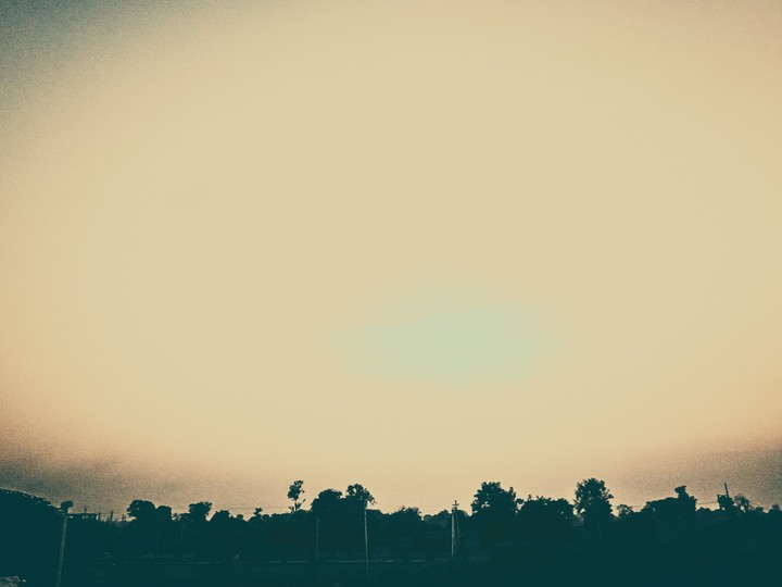 Natures beauty is love