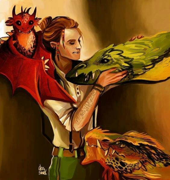Charlie Weasly and his dragons