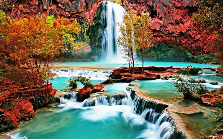 nature