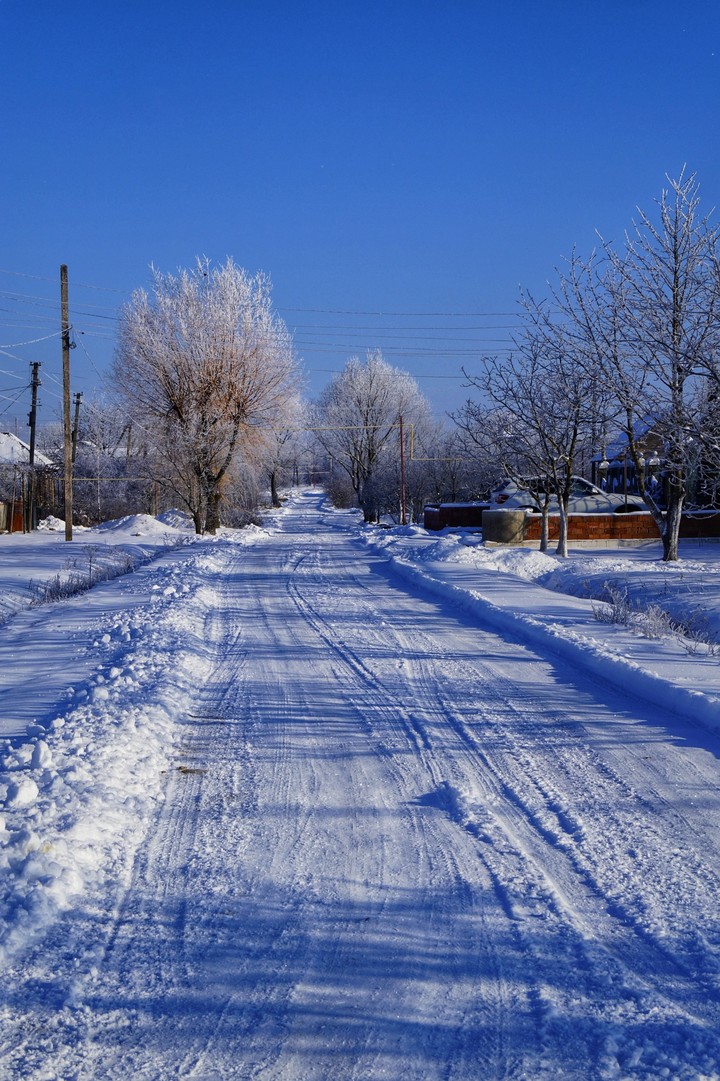 winter
