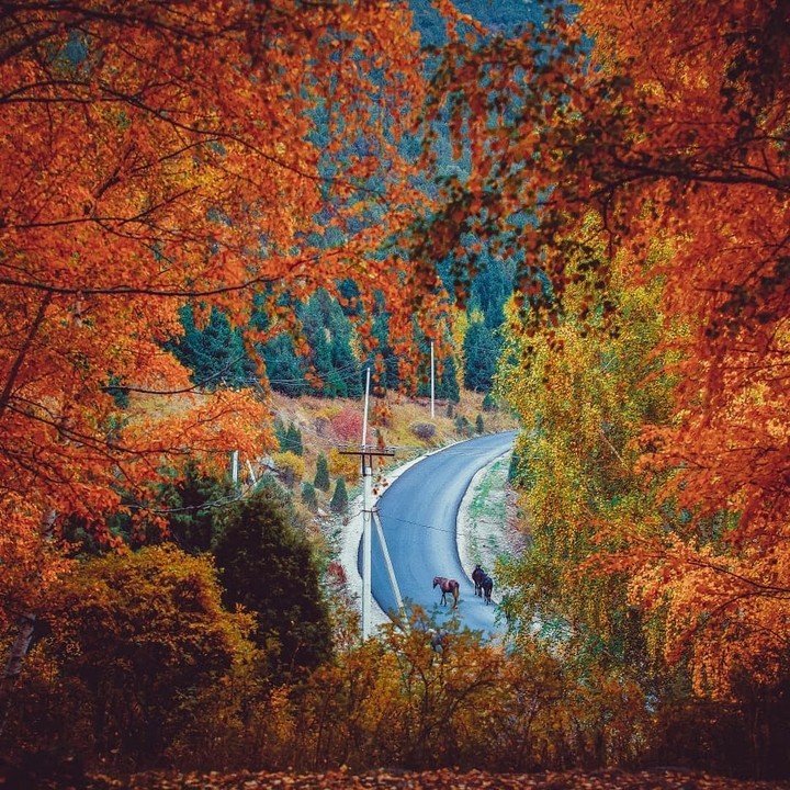 Осень