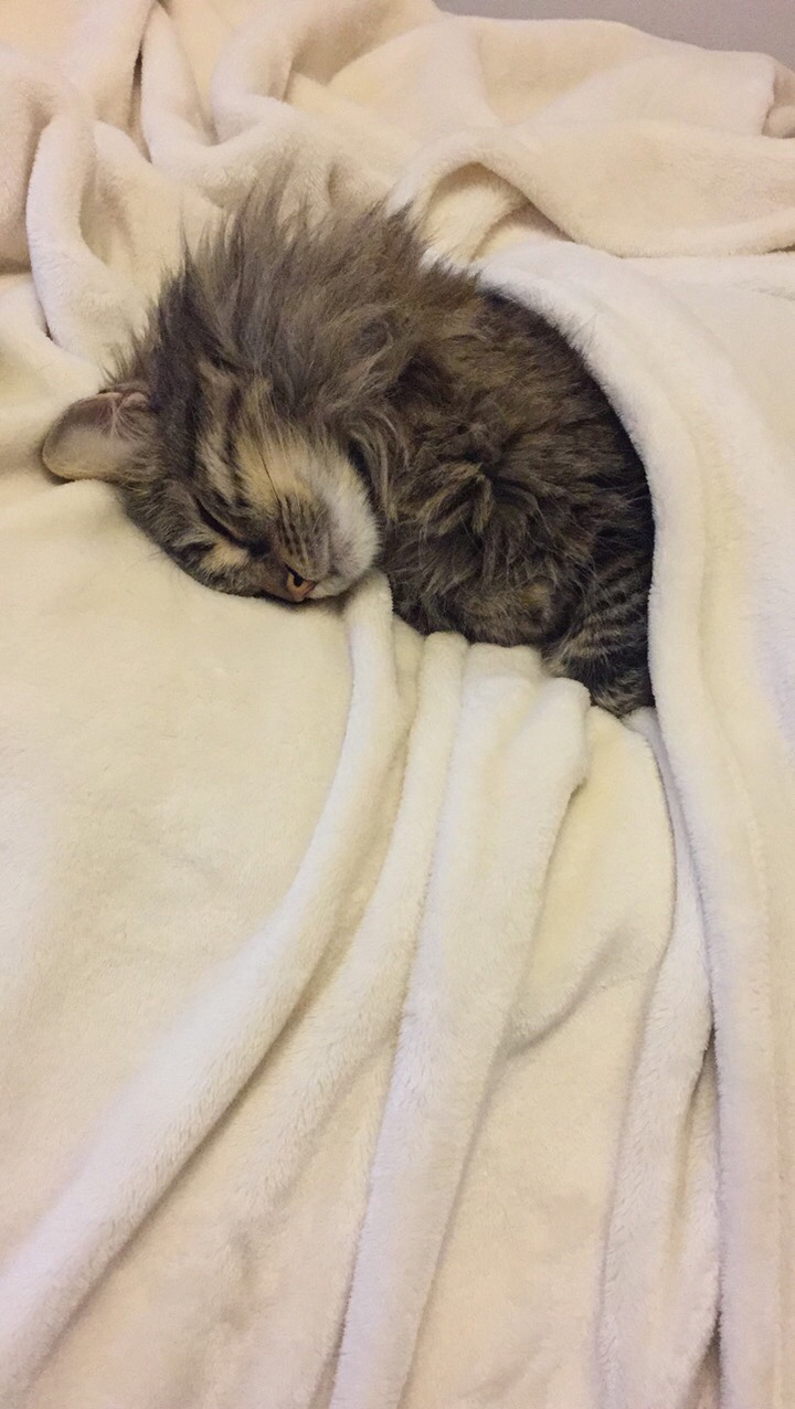 sleepy