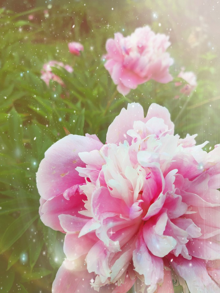beautiful summer  day.