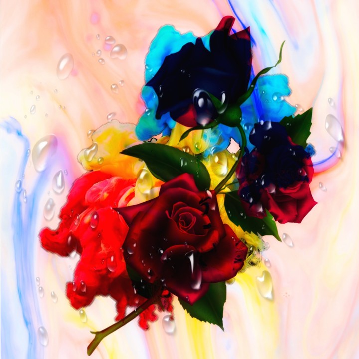 Rose 