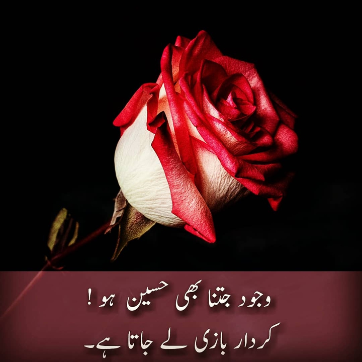 Quote