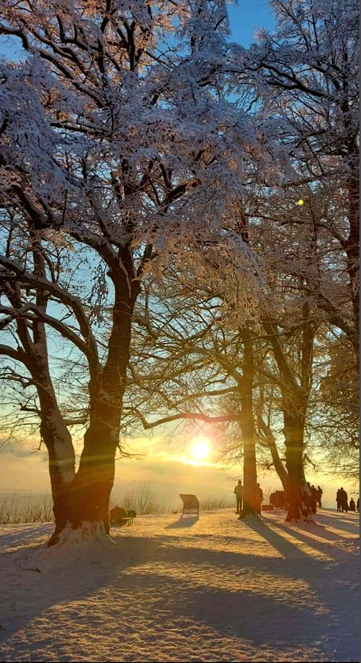 Sunset in winter