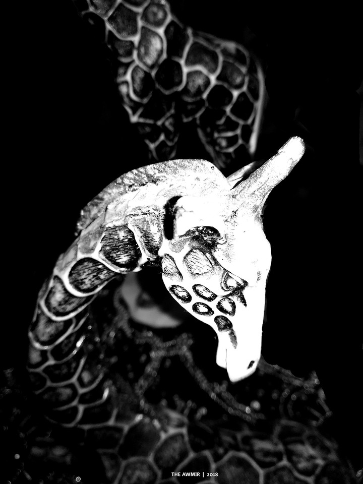 black and white