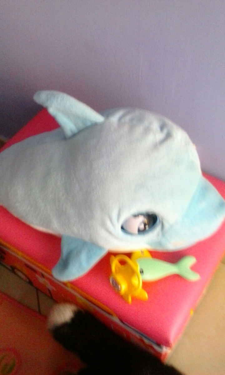 delfino blu blu