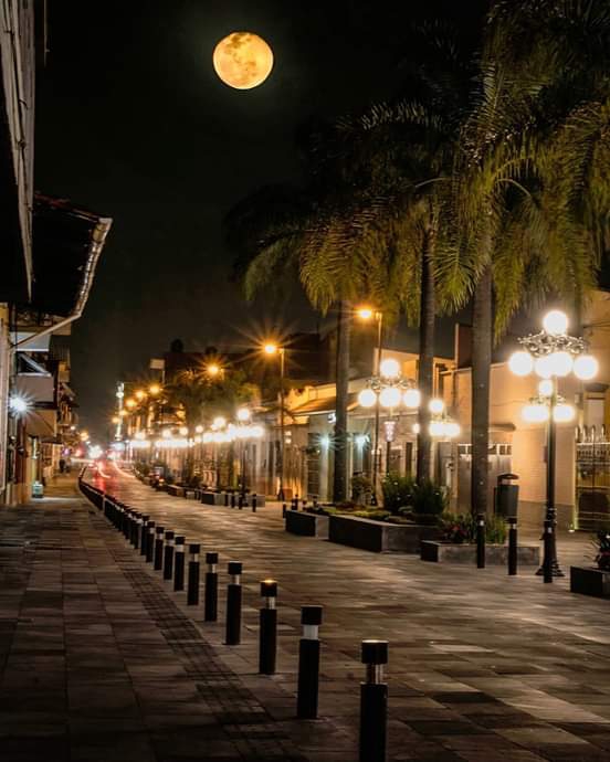 "Paseo Colón"