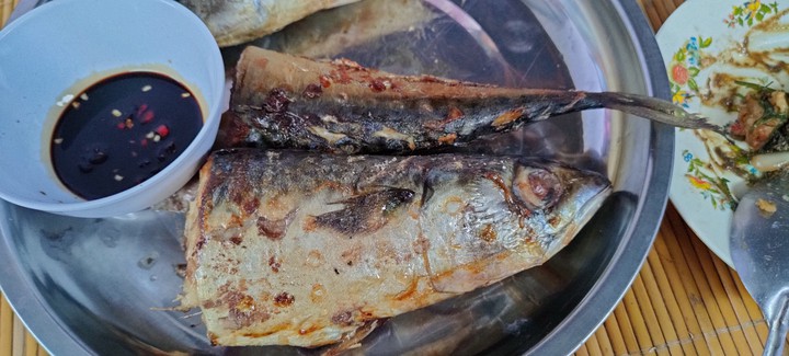 sardine
