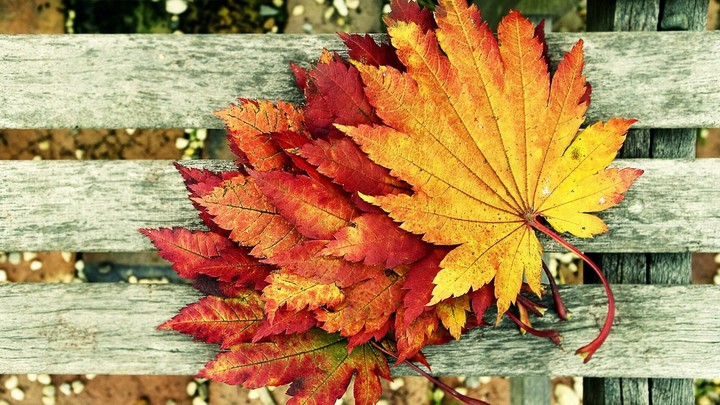 Love autumn