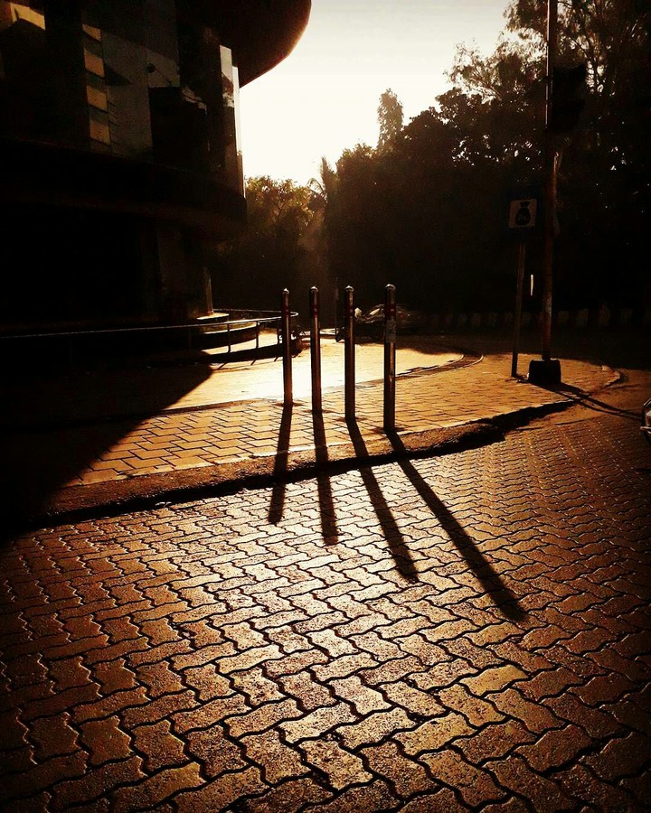 morning shadow
