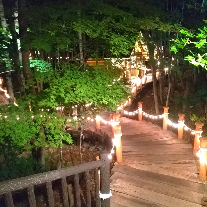 night walk