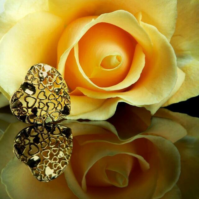 golden rose