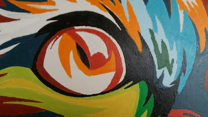 buntes Katzen Auge