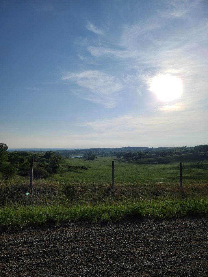 grassland