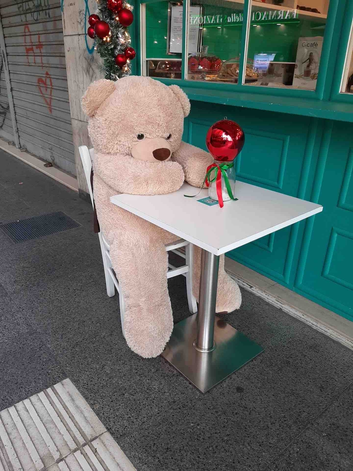 teddy bear ?