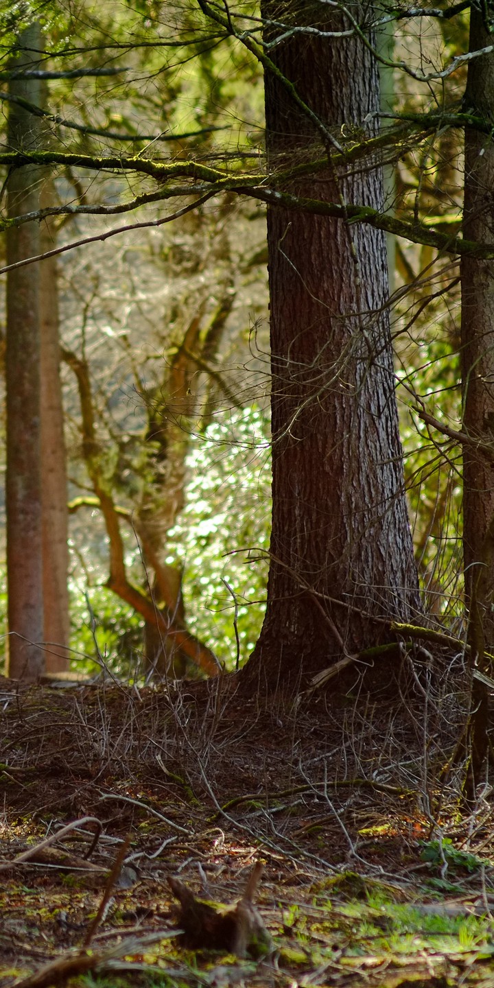 natureza