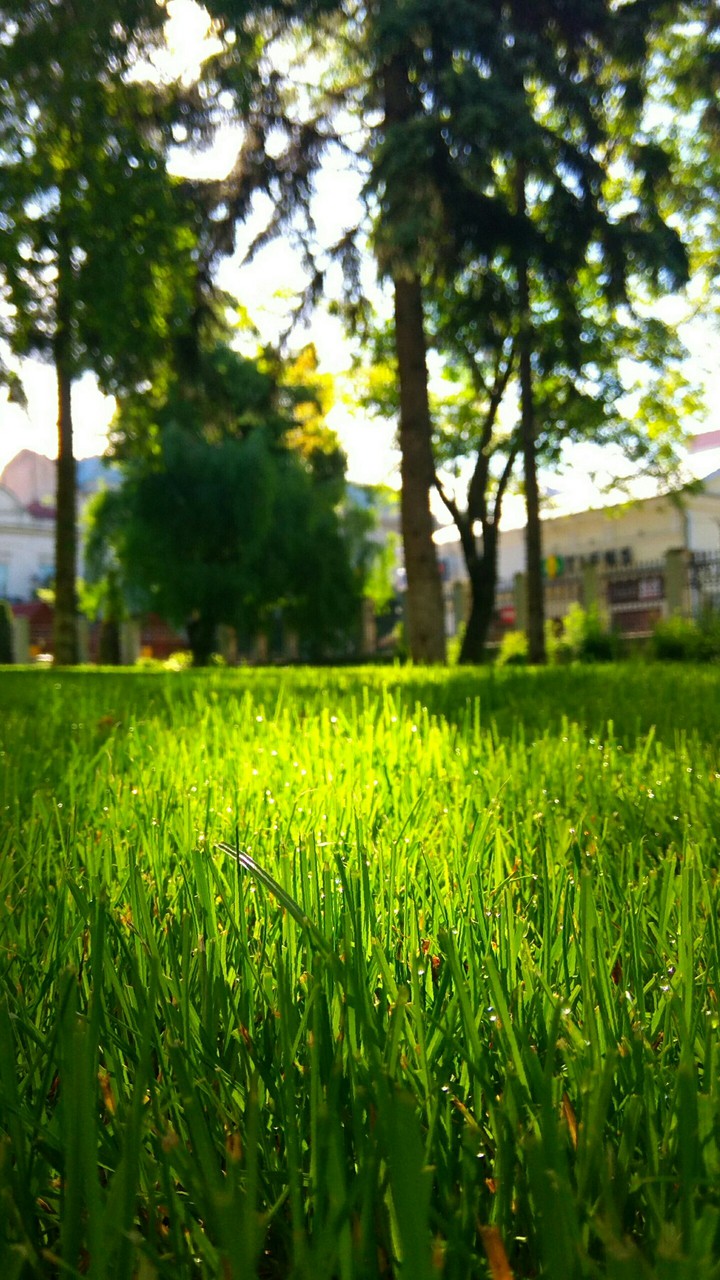 Iași - Spring 2019