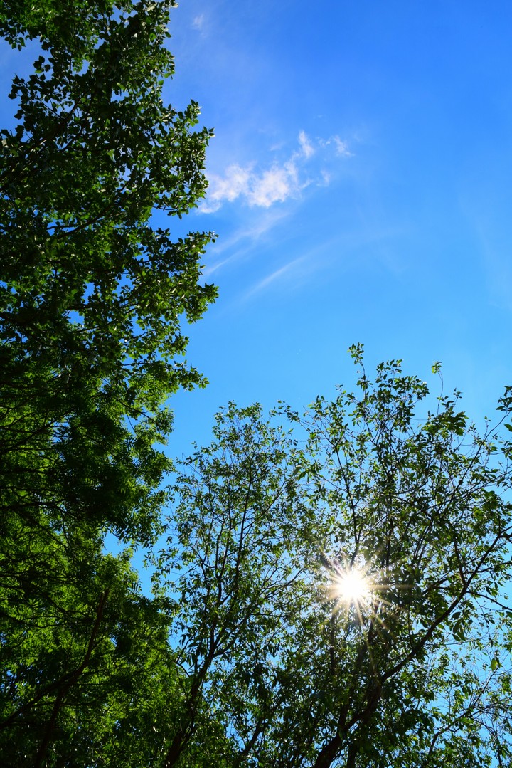 Sunshine my only sunshine...