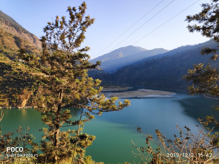 nature view