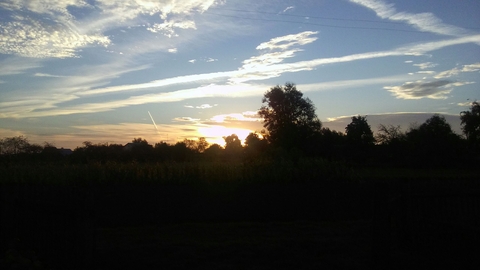 morning