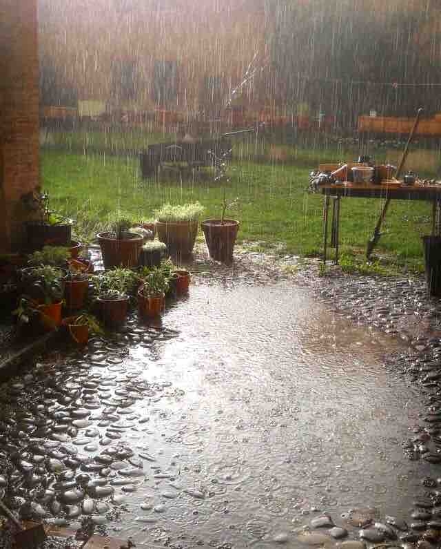 Rain with You