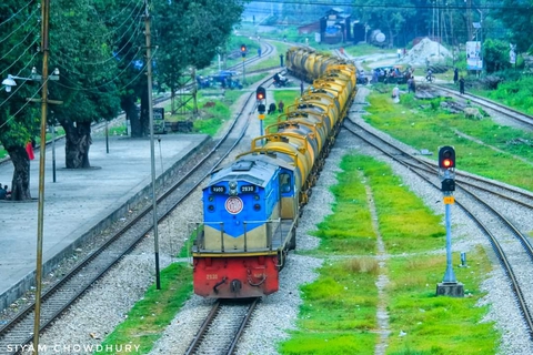 train, plant wallpapers