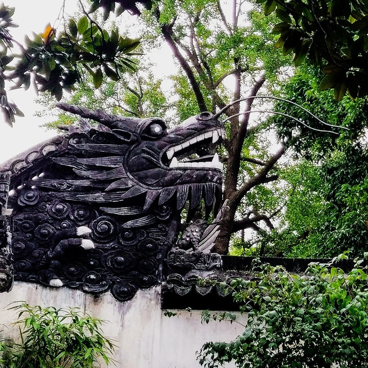 dragon