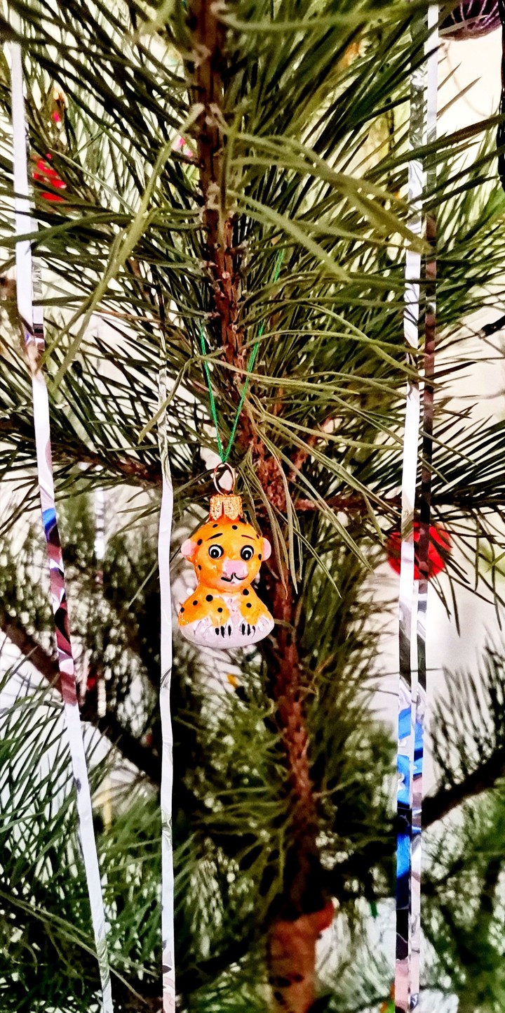 Christmas Toy