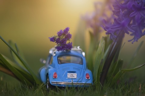 Tiny Car