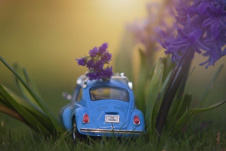 Tiny Car