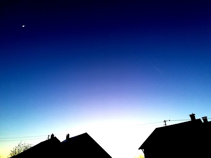 Moonlight Evening
