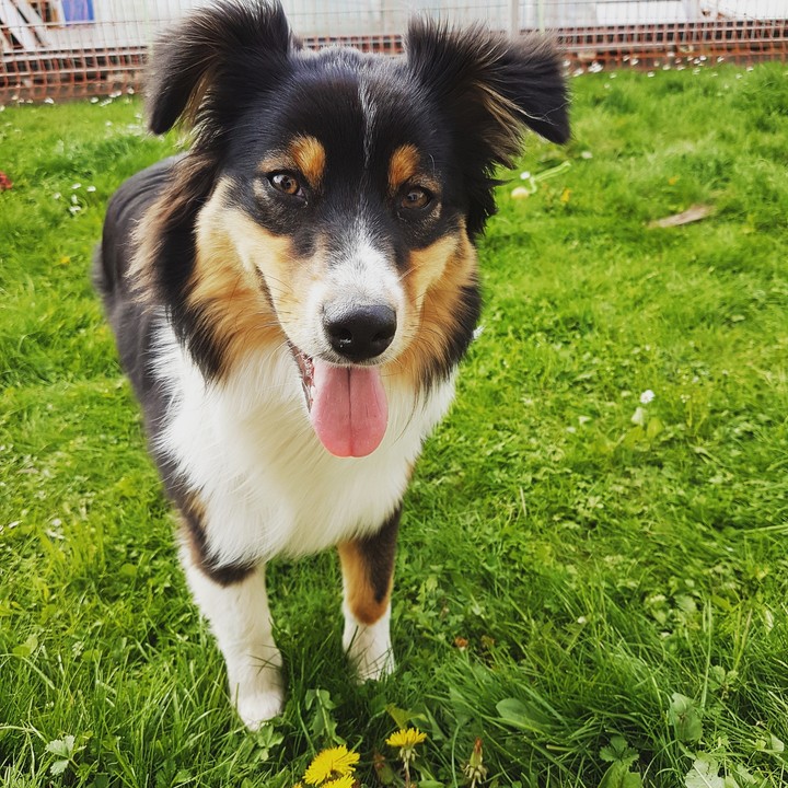 My buddy 