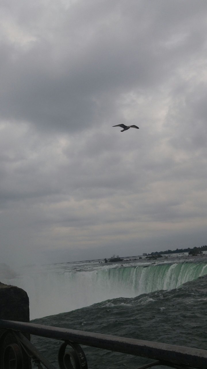 fly away