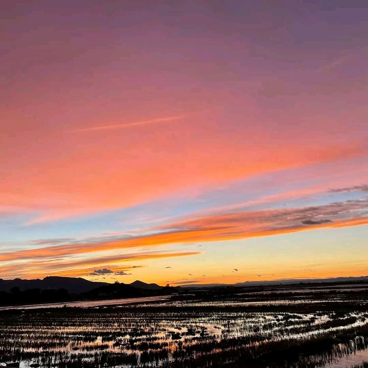 Reddish sky
