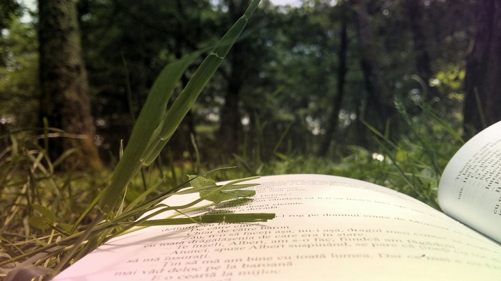 Reading is so delicious ...
