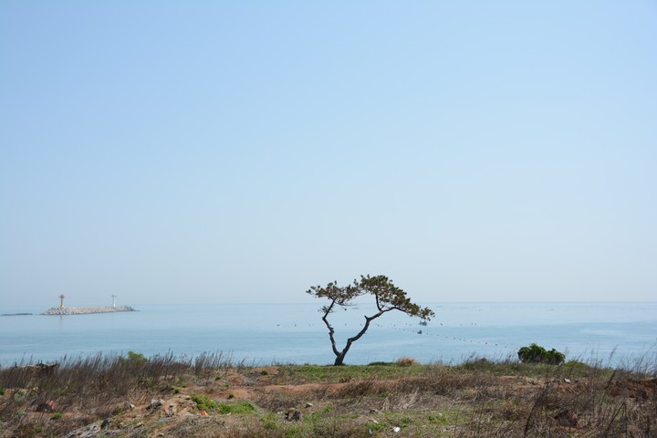 기장이미지