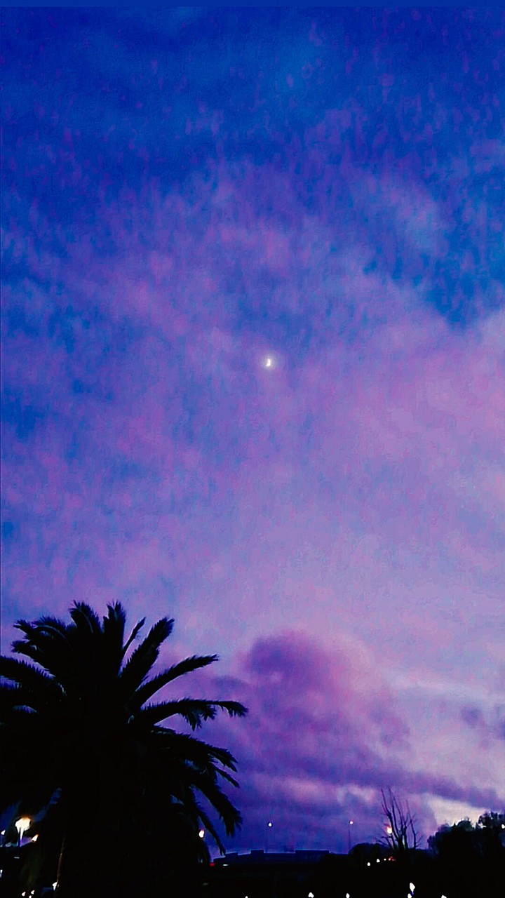 Moonlight